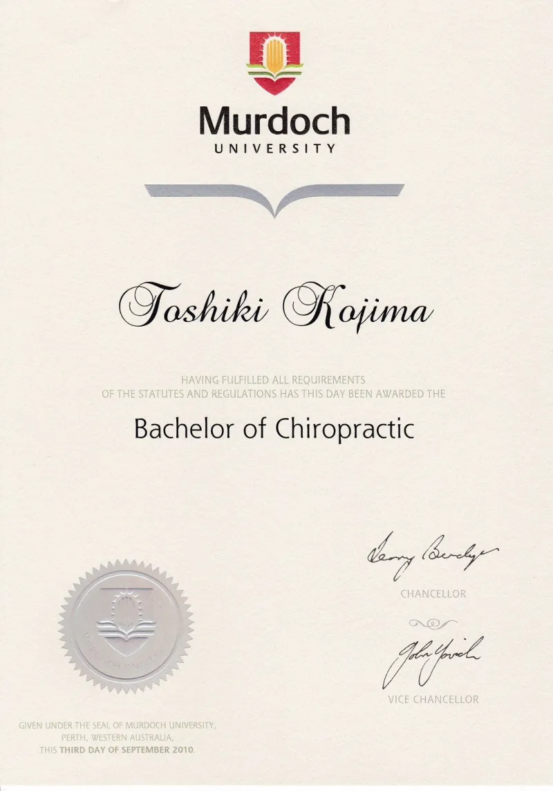 Bachelor of Chiropractic