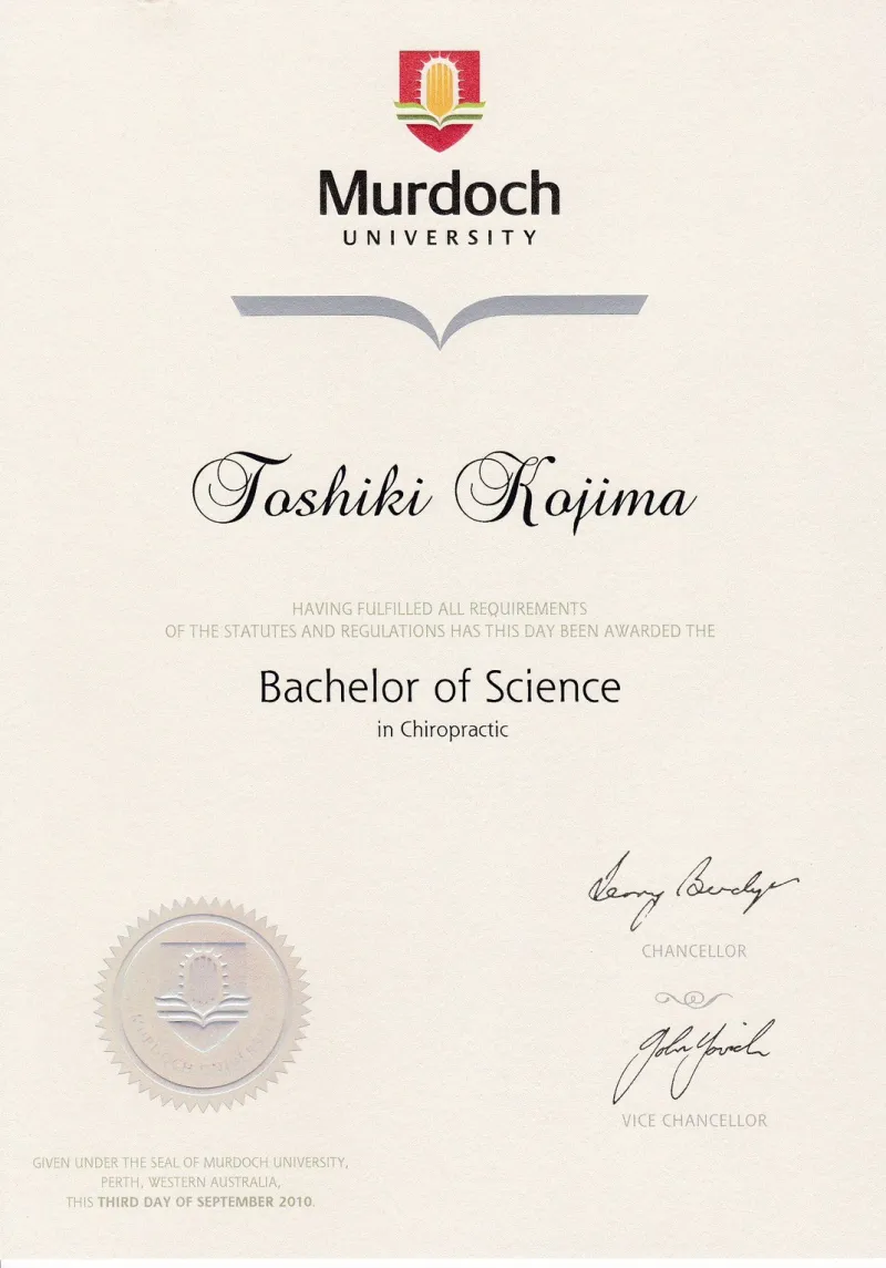 Bachelor of Science in Chiropractic